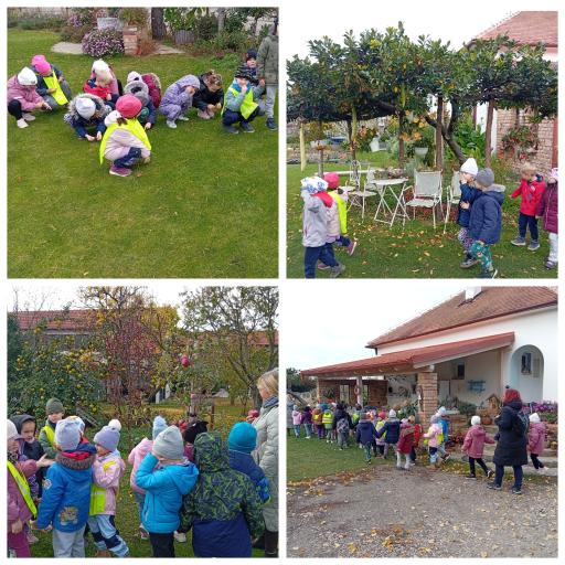 navstevazahradnictvi